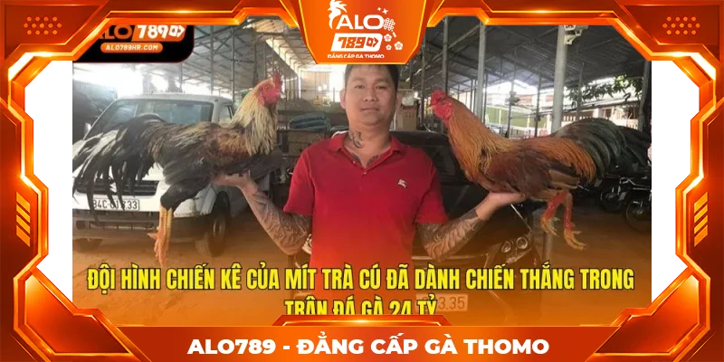 Đội hình chiến kê của Mít Trà Cú đã dành chiến thắng trong trận đá gà 24 tỷ Đội hình chiến kê của Mít Trà Cú đã dành chiến thắng trong trận đá gà 24 tỷ