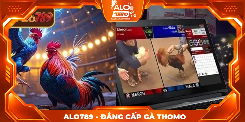 Giới thiệu vài nét về stream 4K Giới thiệu vài nét về stream 4K