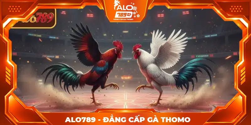 Tổng quan về vị thế của ALO789 vs BJ88 đá gà trên thị trường
