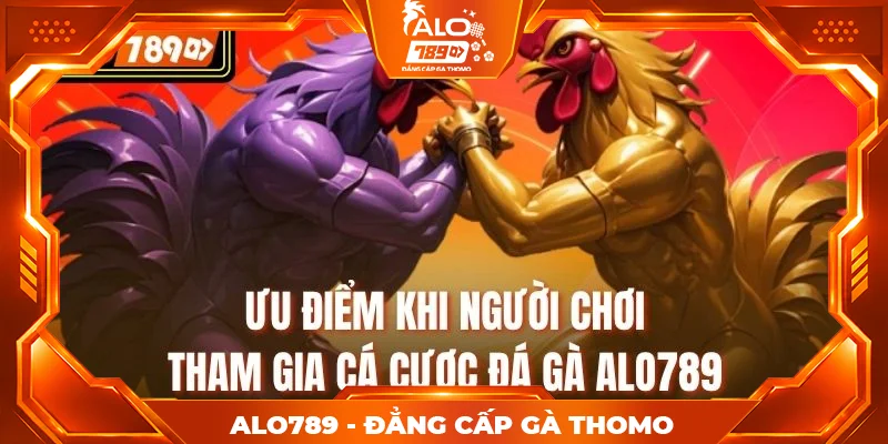 Ưu điểm khi người chơi tham gia cá cược đá gà alo789
